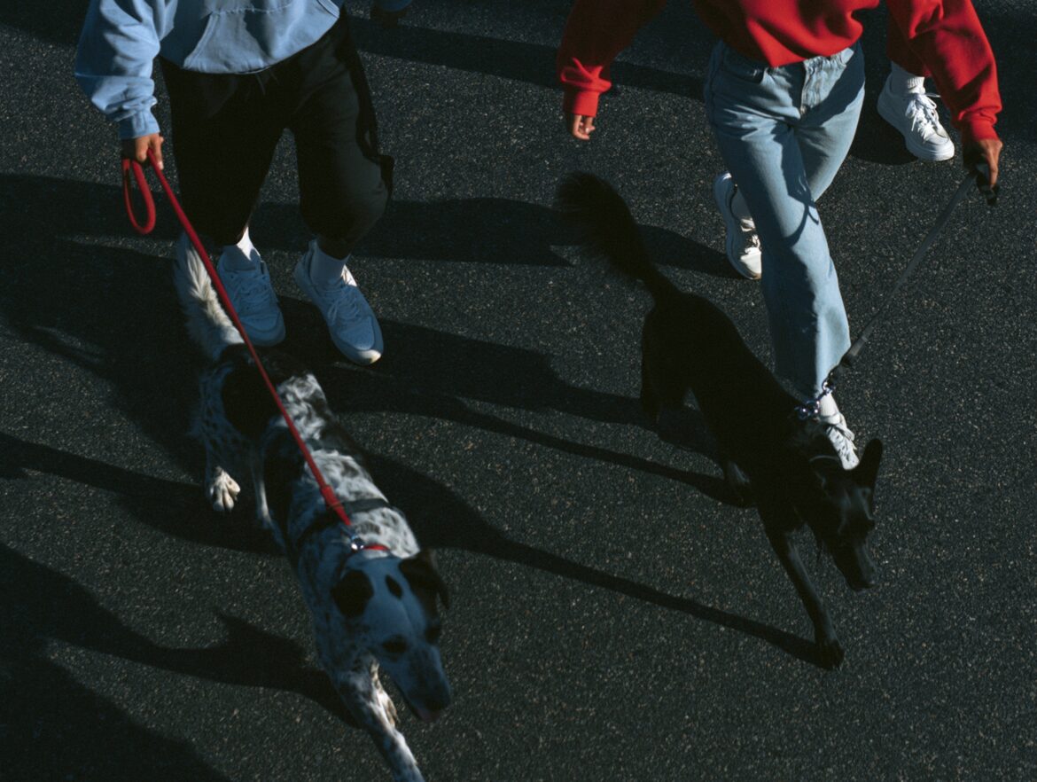Pets